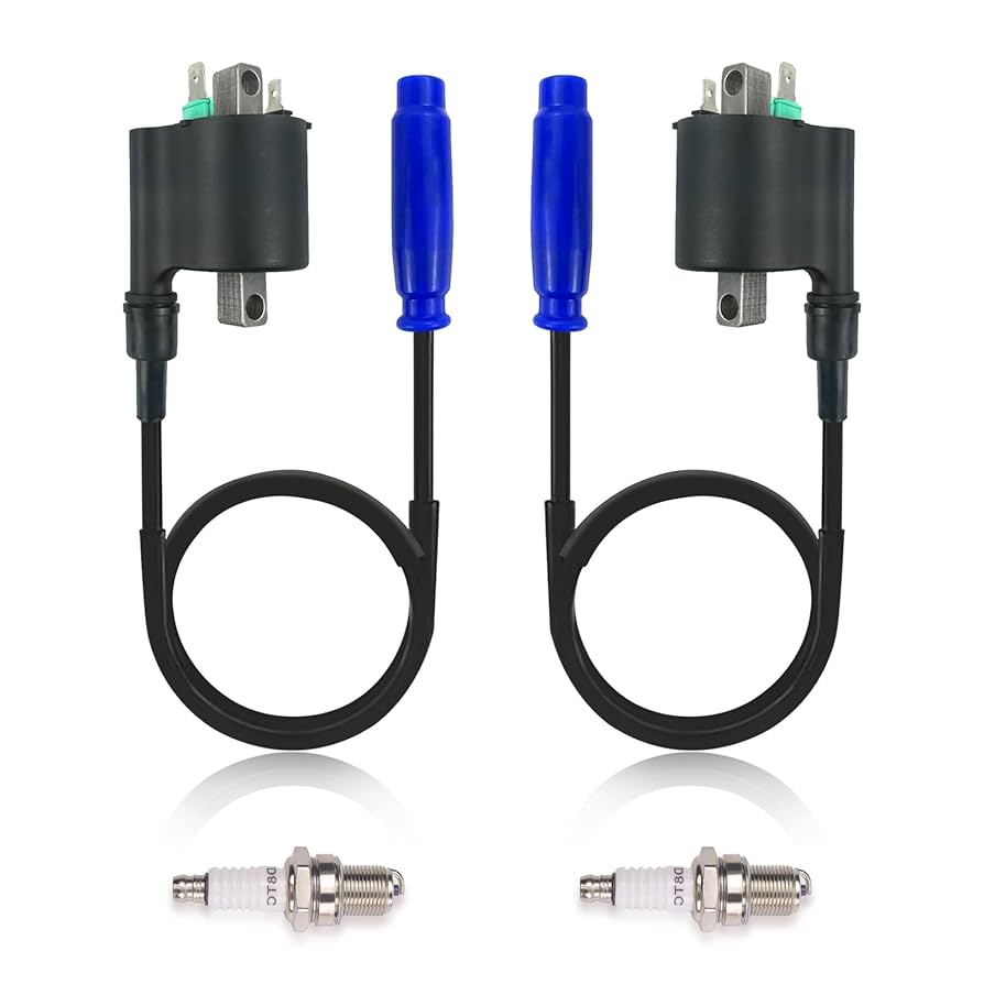 チェリビダッケ
ブルックナー
EMI
クラシック Amazon.com: 2pcs Ignition Coil Spark Plug For Kawasaki Brute